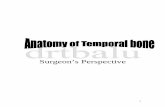 Anatomy of the Temporal Bone - Otolaryngology onlineotolaryngology.wdfiles.com/local--files/otology/Anatomy of the... · Anatomy of the Temporal Bone . ... the Temporalis muscle,