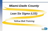 Miami-Dade County Lean Six Sigma (LSS) County Lean Six Sigma (LSS) ... Demonstrated by several Green Belt Project Teams, Lean Six Sigma offers employees the next level of skills to