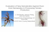 Evaluation of New Nematicides Against Root- Knot …ucanr.edu/sites/veg_crop_sjc/files/206284.pdfEvaluation of New Nematicides Against Root-Knot Nematodes in Processing Tomato Production