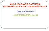 MULTIVARIATE PATTERN RECOGNITION FOR CHEMOMETRICS … · MULTIVARIATE PATTERN RECOGNITION FOR CHEMOMETRICS . Pattern Recognition ... so the key to all techniques is to find a ...