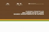 GUIDING PRINCIPLES ON LARGE SCALE LAND … Principles on Large Scale Land Based Investments in Africaiii Table of Contents List of Abbreviations v Acknowledgements vii Chapter 1: Introduction