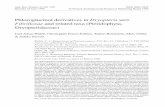 Phloroglucinol derivatives in Dryopteris sect.. BOT. FENNICI 33 (1996) • Phloroglucinol derivatives in Dryopteris 71 The Dryopteris wallichiana complex and related taxa Dryopteris
