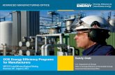 DOE Energy Efficiency Programs Sandy Glatt for … · DOE Energy Efficiency Programs ... Industrial 31% . Energy ... Conform to the ISO 50001 energy management system standard 2.