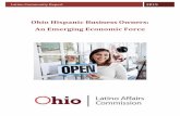 Ohio Hispanic Business Owners: An Emerging Economic …ochla.ohio.gov/Portals/0/Public Policy/Hispanic... ·  · 2015-07-17Hispanic-owned businesses. According to the 2013 American