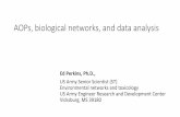 AOPs, biological networks, and data analysis · AOPs, biological networks, and data analysis Ed Perkins, Ph.D., US Army Senior Scientist (ST) Environmental networks and toxicology