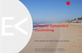 Littoral dynamics modelling - DHI content/presences/emea... · protection-rehabilitation solutions: general overview • Applications of Mike –Litpack modelling ... coastal and