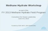 Methane Hydrate Workshop - Department of Energy Myers - Methane... · Methane Hydrate Workshop ... by the inclusion of experienced operational engineers and technical ... economics