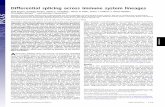 Differential splicing across immune system lineagescbdm.hms.harvard.edu/assets/Publications/2013pub/PNAS-Ergun.pdf · Differential splicing across immune system lineages Ayla Ergun