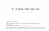 THE BISARD CRASH - Frankly Incftpcontent.worldnow.com/wthr/PDF/bisardpublicreport.pdfthe bisard crash . a review of the incident / investigation . submitted: november 10, 2010 . frank