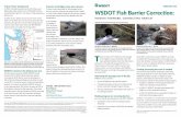 ‘Culvert Case’ background WSDOT Fish Barrier Correction · Nordstrom Creek project — BEFORE The former culvert at the State Route 112 crossing Nordstrom ... The court case applies