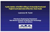 Optimization of Infill Drilling in Naturally-Fractured … of Infill Drilling in Naturally-Fractured Tight-Gas Reservoirs of the San Juan Basin Lawrence W. Teufel Petroleum Engineering