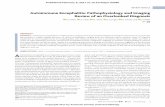 Autoimmune Encephalitis: Pathophysiology and Imaging ... · REVIEWARTICLE AutoimmuneEncephalitis:PathophysiologyandImaging ReviewofanOverlookedDiagnosis X B.P. Kelley, X S.C. Patel,
