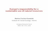 Europe’s responsibility for a sustainable use of natural resources · 2017-11-17 · Europe’s responsibility for a sustainable use of natural resources ... Trillion (1012) international