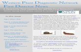 A Quarterly Pest Update for WPDN First Detectors Winter Spring 2013...container in ethyl alcohol or ethanol. See Preserving Gastropods You can find the NPDN family of newsletter at: