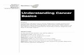 Understanding Cancer Basics - Cancer Health …chdi.wisc.edu/sites/chdi.wisc.edu/files/attachments/Basics_ Rural_0...3 Section 1 Cancer Basics Understanding Cancer Basics Many of us
