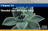 Mendel and the Gene Idea - Fortress of Cogitation · 2012-11-13 · •The true-breeding parents are the P generation ... •Mendel called the purple flower color a dominant trait