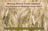 Moving Wheat Yields Upward: Key Research …smallgrains.org/wp-content/uploads/2018/02/2018BestRansom.pdfMoving Wheat Yields Upward: Key Research Findings from 2017. y = 0.7339x ...