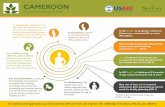 National Anemia Profile - SPRING · 2017-04-06 · CAMEROON National Anemia Profile child r a n ... National policy on sanitation ... *Information from the Global database on …