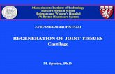 REGENERATION OF JOINT TISSUES Cartilage · REGENERATION OF JOINT TISSUES Cartilage M. Spector, Ph.D. Massachusetts Institute of Technology Harvard Medical School Brigham and Women’s