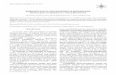 MorphologIcal and anatoMIcal research of HeliantHus ...phytomorphology.org/PDF/MP4/04069074.pdf · HeliantHus tuberosus l. Inflorescence Tatyana Gontovaya, Yana Kichimasova *, Olga