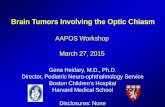 Brain Tumors Involving the Optic Chiasm - American ... · Brain Tumors Involving the Optic Chiasm . AAPOS Workshop . March 27, ... - Low Grade Glioma ... - Optic nerve assessment