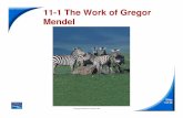 11-1 The Work of Gregor Mendel 11-1 The Work of Gregor Mendelfaculty.coventryschools.net/stetsonpeter/Chapter9... · 2011-05-03 · Title: Microsoft PowerPoint - Chapter11_Section01_edit.ppt