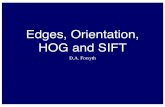 Edges, Orientation, HOG and SIFT - University Of Illinoisluthuli.cs.uiuc.edu/.../EdgesOrientationHOGSIFT-2012.pdf · 2012-06-12 · Edges, Orientation, HOG and SIFT ... 1 2 ⇥2 ⌅