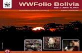 WWFolio Bolivia - Pandaassets.panda.org/downloads/wwfolio_n4_ingles.pdf · Pantanal Educational curriculum: a commitment with the future based on dedication and inspiration WWF has