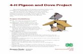 4-H Pigeon and Dove Project - OSU Extension Catalog · 4-H Pigeon and Dove Project 4-H 154 ... Develop a 4-H pigeon and dove library for members to use. ... Wash waterers daily with
