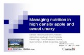 Managing nutrition in high density apple and sweet cherryucanr.edu/sites/nm/files/76676.pdf · Managing nutrition in high density apple and sweet cherry Denise Neilsen and Gerry Neilsen