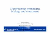 Transformed lymphoma: biology and treatment - … lymphoma: biology and treatment Silvia Montoto Centre for Haemato-Oncology Barts Cancer Institute : Tero A H Jarvinen · Teppo L N