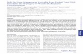 Bulk De Novo Mitogenome Assembly from Pooled Total DNA ... · quencing (NGS) technologies a nd their ability to generate large amounts of data suitable for genomic assembly, system-