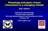 Phenology and plant / insect interactions in a changing ... · Phenology and plant / insect interactions in a changing climate ... outcome of the phenological race ... Phenological