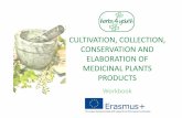 CULTIVATION, COLLECTION, CONSERVATION … Astrid van Ginkel – FITOMON Proofreading andchecking: Eva Moré –Forest Reseach Centre of Catalonia (CTFC) Cultivation, collection, conservation