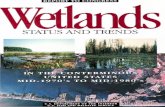 STATUS AND TRENDS - United States Fish and Wildlife … STATUS AND TRENDS IN THE CONTERMINOUS UNITED STATES MID-1970's TO MID-1980's First Update of the National Wetlands Status Report