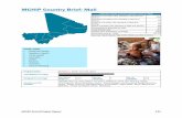 MCHIP Country Brief: Mali · HIV/AIDS WASH Malaria ... ANC & SBA: While not ... from various MCHIP led and/or supported studies including the National SEC Evaluation, ...