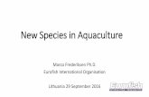 New Species in Aquaculture - Eurofishworkshop.eurofish.dk/Presentations/Marco_Frederiksen.pdf · •Fresh water: sturgeon, African catfish, ... breeding and hatchery technology ...