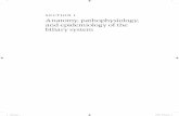 SECTION 1 Anatomy, path ophysiology, and epidem … · 2016-04-19 · SECTION 1 Anatomy, path ophysiology, and epidem iology of the ... CHAPTER 1 Anatomy an d physiology of the biliary