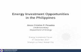 Energy Investment Opportunities in the Philippines · Energy Investment Opportunities in the Philippines ... Central Luzon Basin 4. Bicol Shelf 5. ... Reed Bank Basin 15.