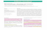 REVIEW ARTICLE The neonatal lung physiology and … ARTICLE The neonatal lung – physiology and ventilation Roland P. Neumann1 & Britta S. von Ungern-Sternberg2,3 1 Department of