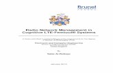 Radio Network Management in Cognitive LTE-Femtocell … · proposed to support seamless handover between LTE and femtocell domains. This is ... 2.3 Long Term Evolution ... 5.6 Handover
