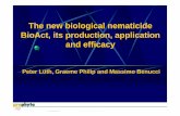 The new biological nematicide BioAct, its production ... · The new biological nematicide BioAct, its production, application and ... • first isolated from an egg mass of Meloidogyne