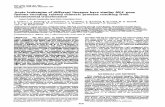 Acuteleukemias havesimilarMLLgene - Proceedings …. Natl. Acad. Sci. USA Vol. 90, pp. 8538-8542, September 1993 Genetics Acuteleukemiasofdifferentlineages havesimilarMLLgene fusions