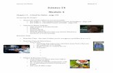 Science 24 Notes Module 4 - PBworks€¦ · Science 24 Notes Module 4 1 Science 24 Module 4 Chapter ... Science 24 Notes Module 4 9 ...