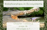 Chapter 1 Lesson 2 Relationships in Ecosystems - Edl · Chapter 1 Lesson 2 Vocabulary 1.population-all the members of one species in an area 2.community-all the living things in an