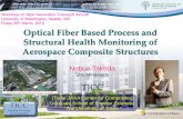 Workshop on Next Generation Transport Aircraft Friday … Fiber Based Process and Structural Health Monitoring of Aerospace Composite Structures Workshop on Next Generation Transport