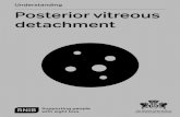 Understanding series – Posterior vitreous detachment - RNIB Posterior... · safe or makes your vision any better. ... • Playing contact sports, such as rugby, martial arts or
