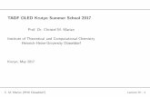 TADF OLED Krutyn Summer School 2017 - Excilight · C. M. Marian (HHU Du¨sseldorf) Lecture III – 1 TADF OLED Krutyn Summer School 2017 Prof. Dr. Christel M. Marian Institute of