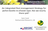 An Integrated Pest management Strategy for pollen …archives.eppo.int/MEETINGS/2017_conferences/IPM/39 -Cook.pdf · An Integrated Pest management Strategy for pollen beetle in oilseed