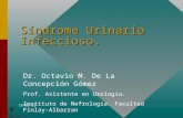 Sindrome Urinario Infeccioso. - Infomed, Portal de la Red … · PPT file · Web view2005-09-26 · Title: Sindrome Urinario Infeccioso. Author: Octavio Manuel De La Concepcion Gomez